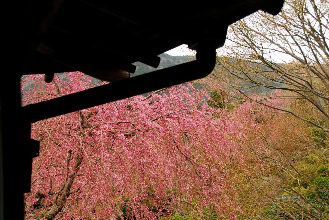 Hakone Kowakien Mikawaya Ryokan Zewnętrze zdjęcie